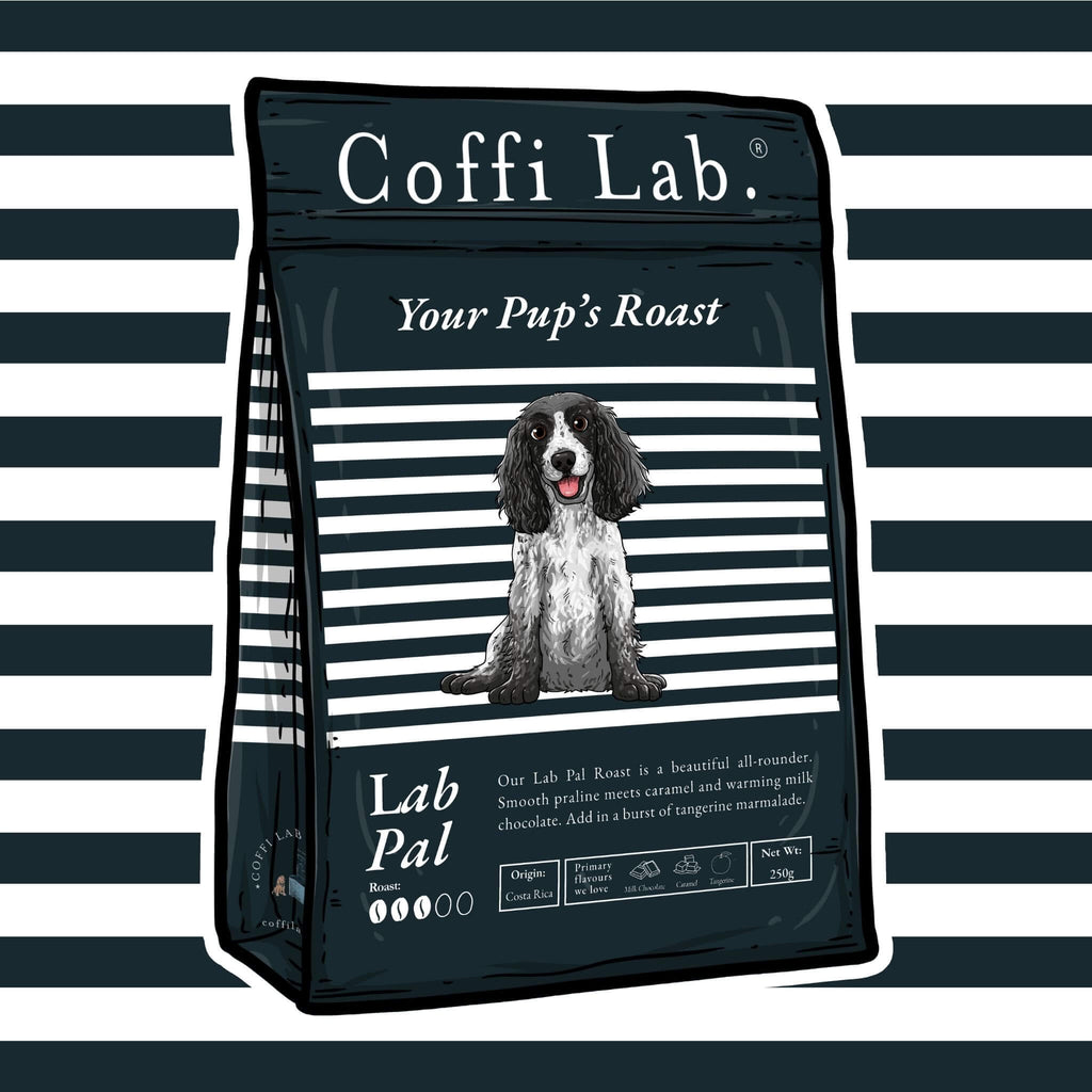 Lab Pal