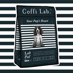 Lab Pal