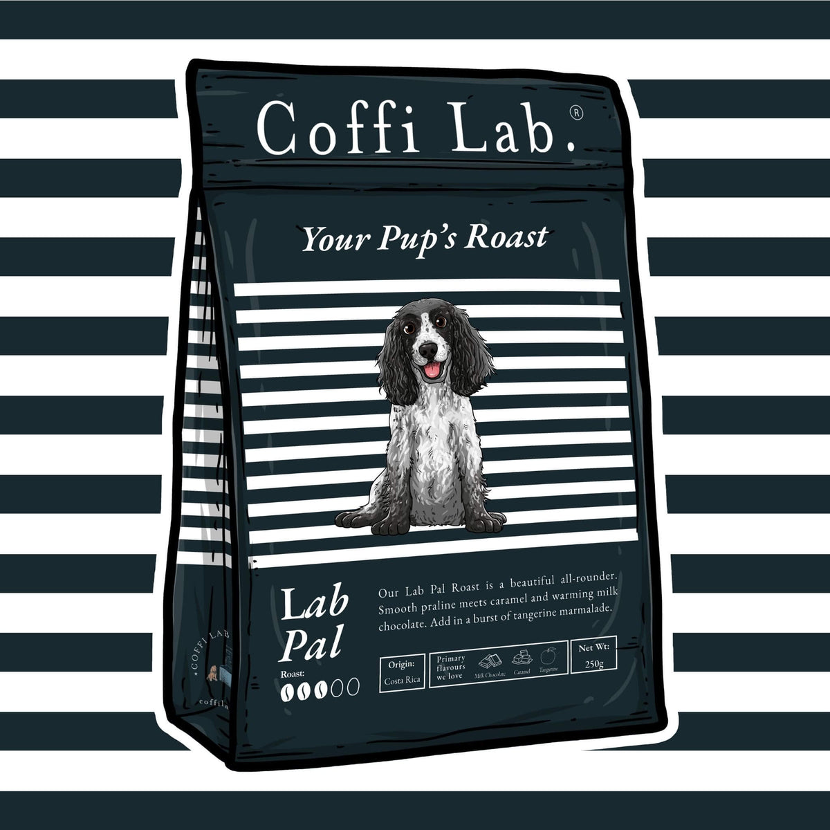 Lab Pal