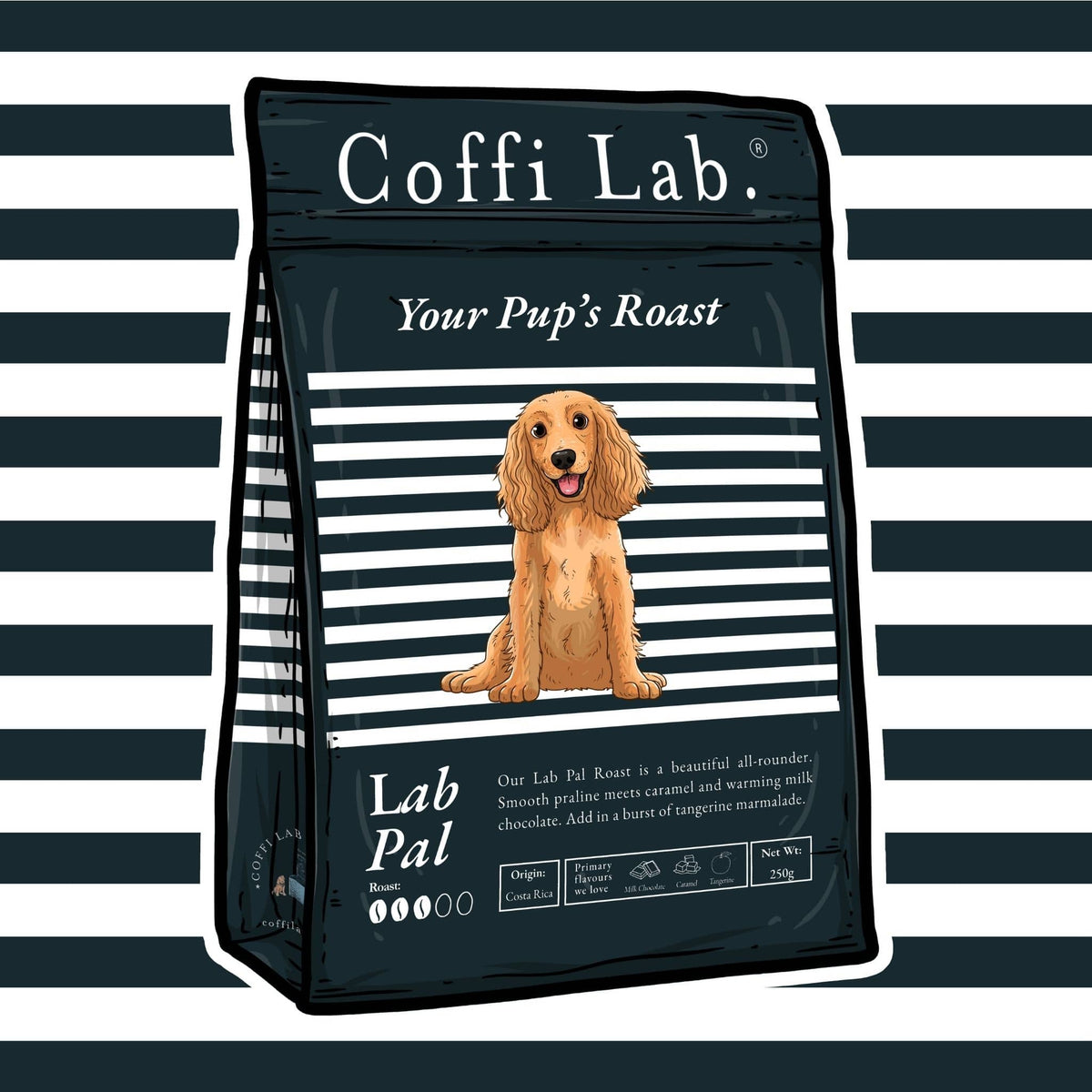 Lab Pal