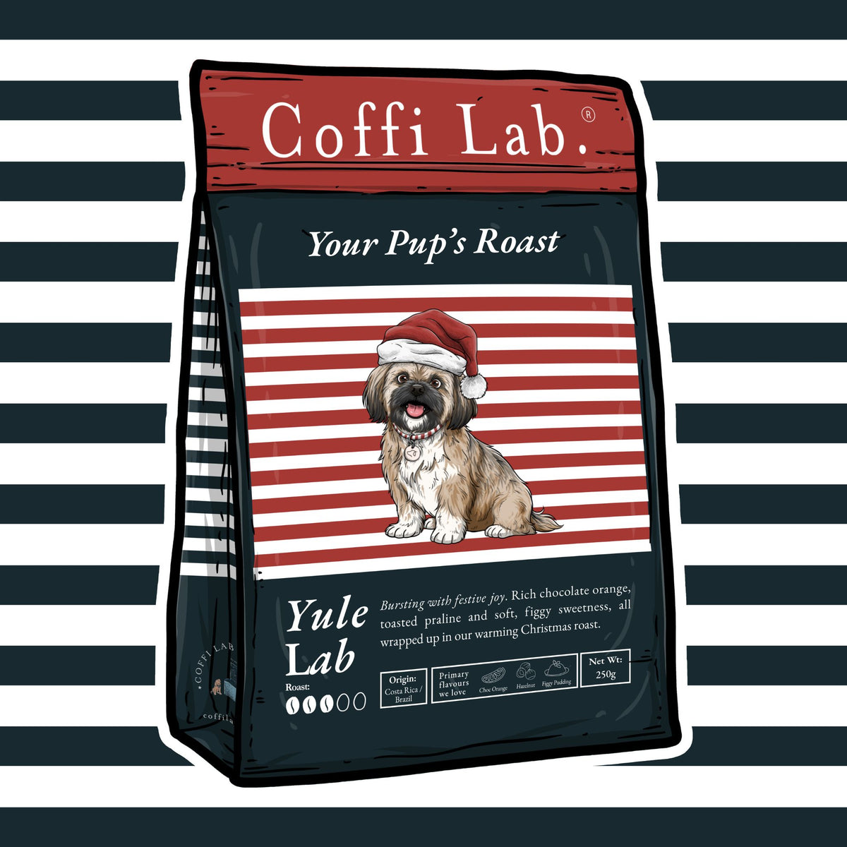 Yule Lab