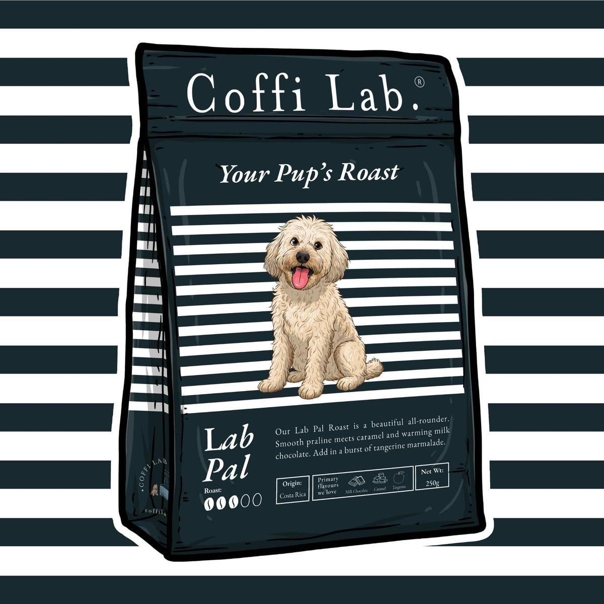 Lab Pal