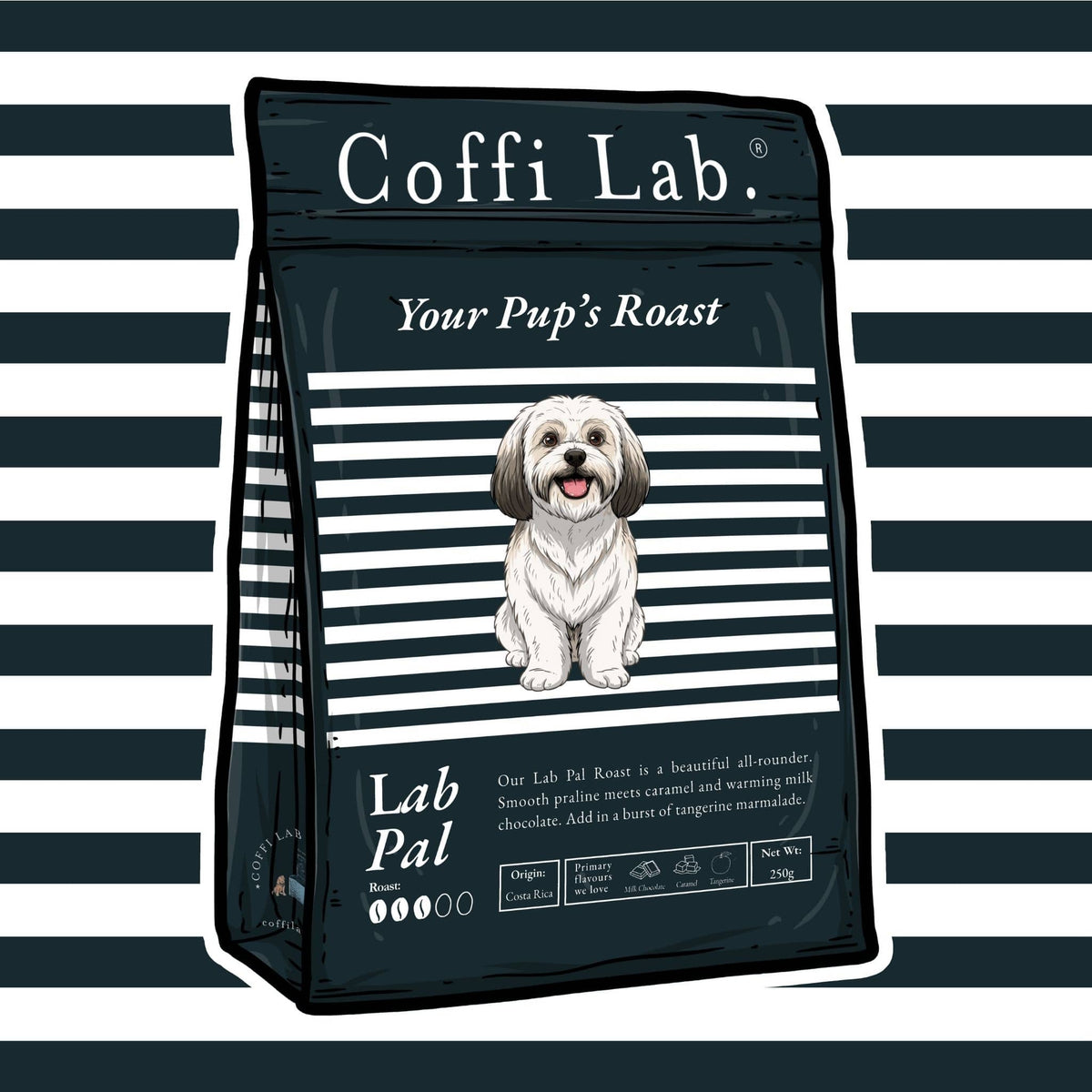 Lab Pal