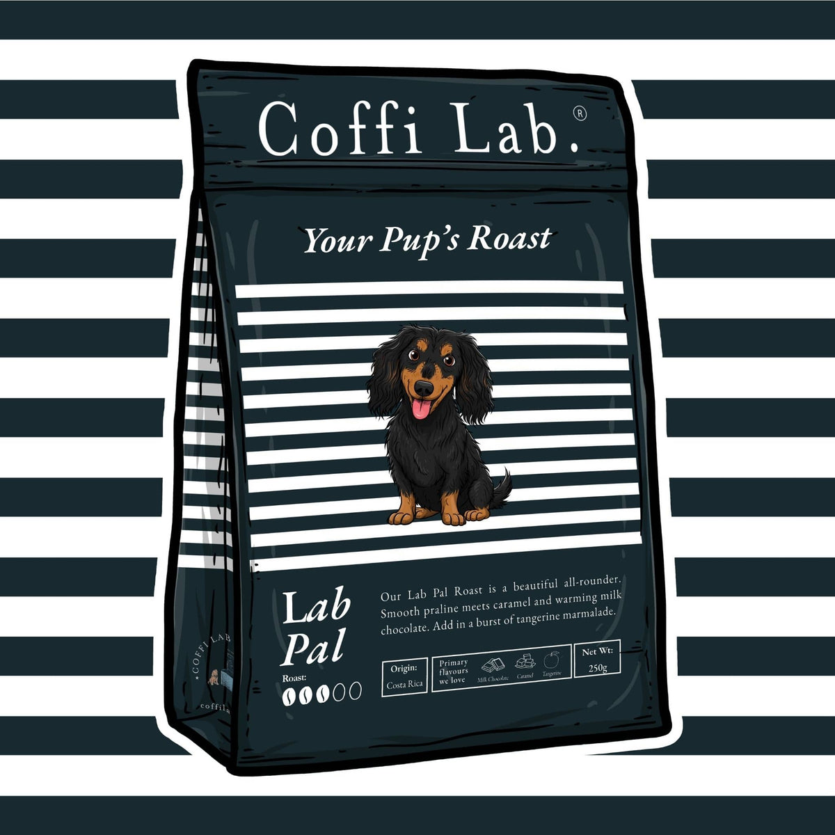 Lab Pal