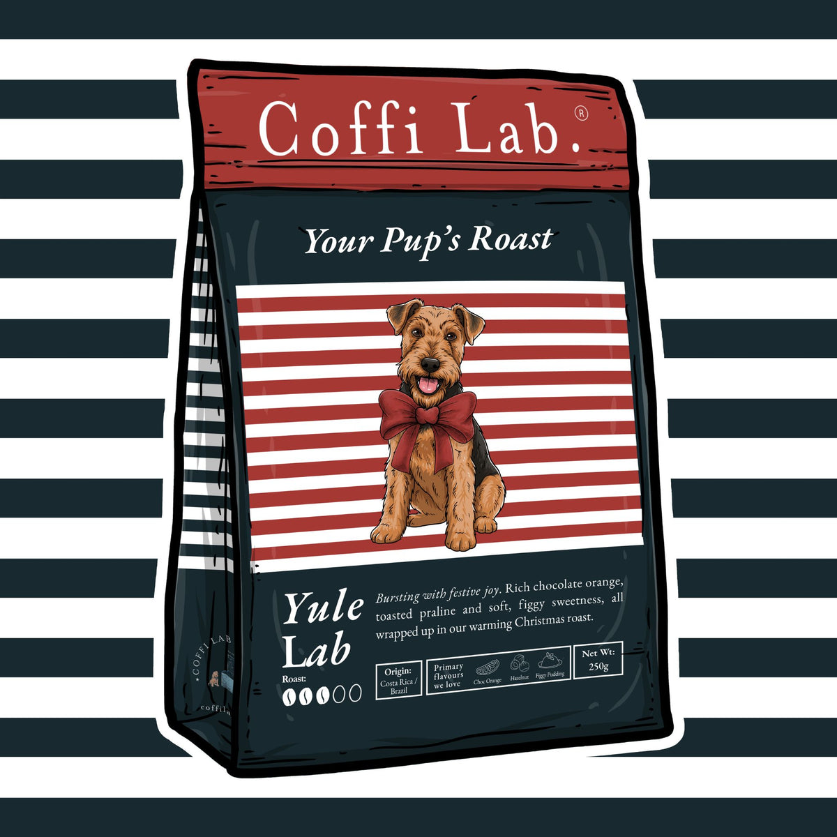Yule Lab