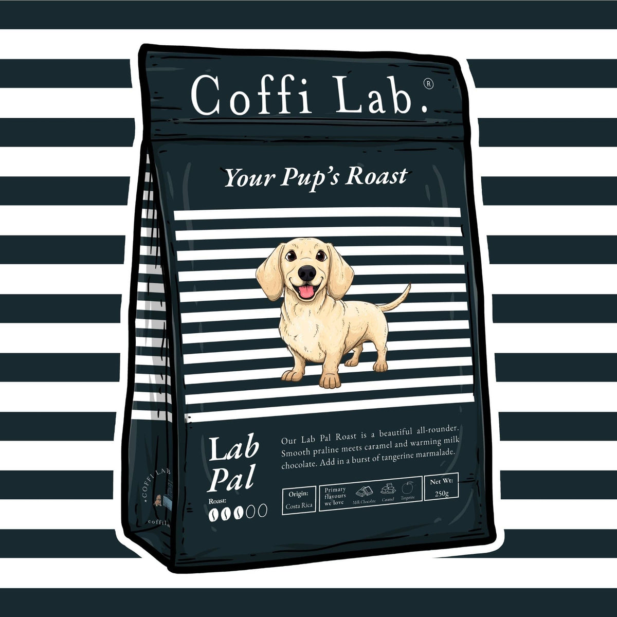 Lab Pal
