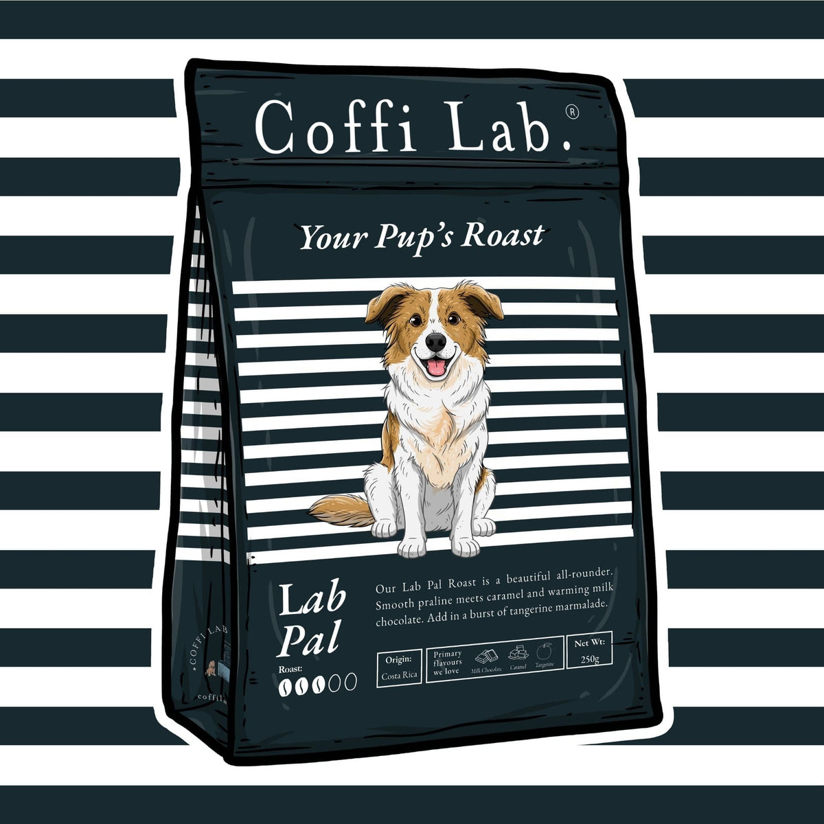 Lab Pal