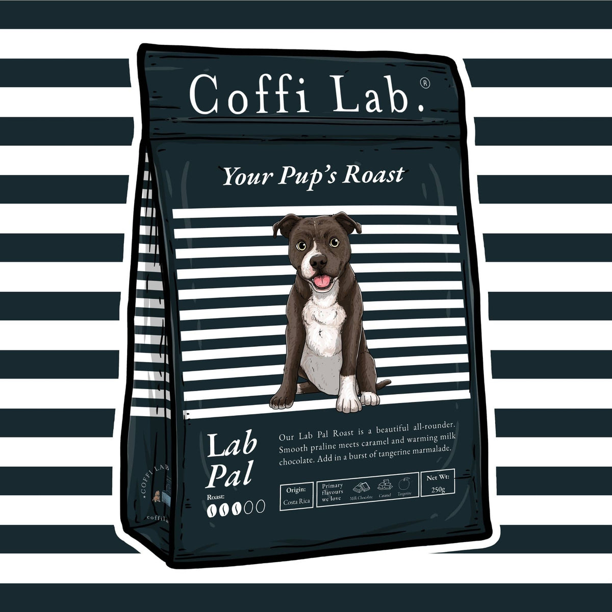 Lab Pal