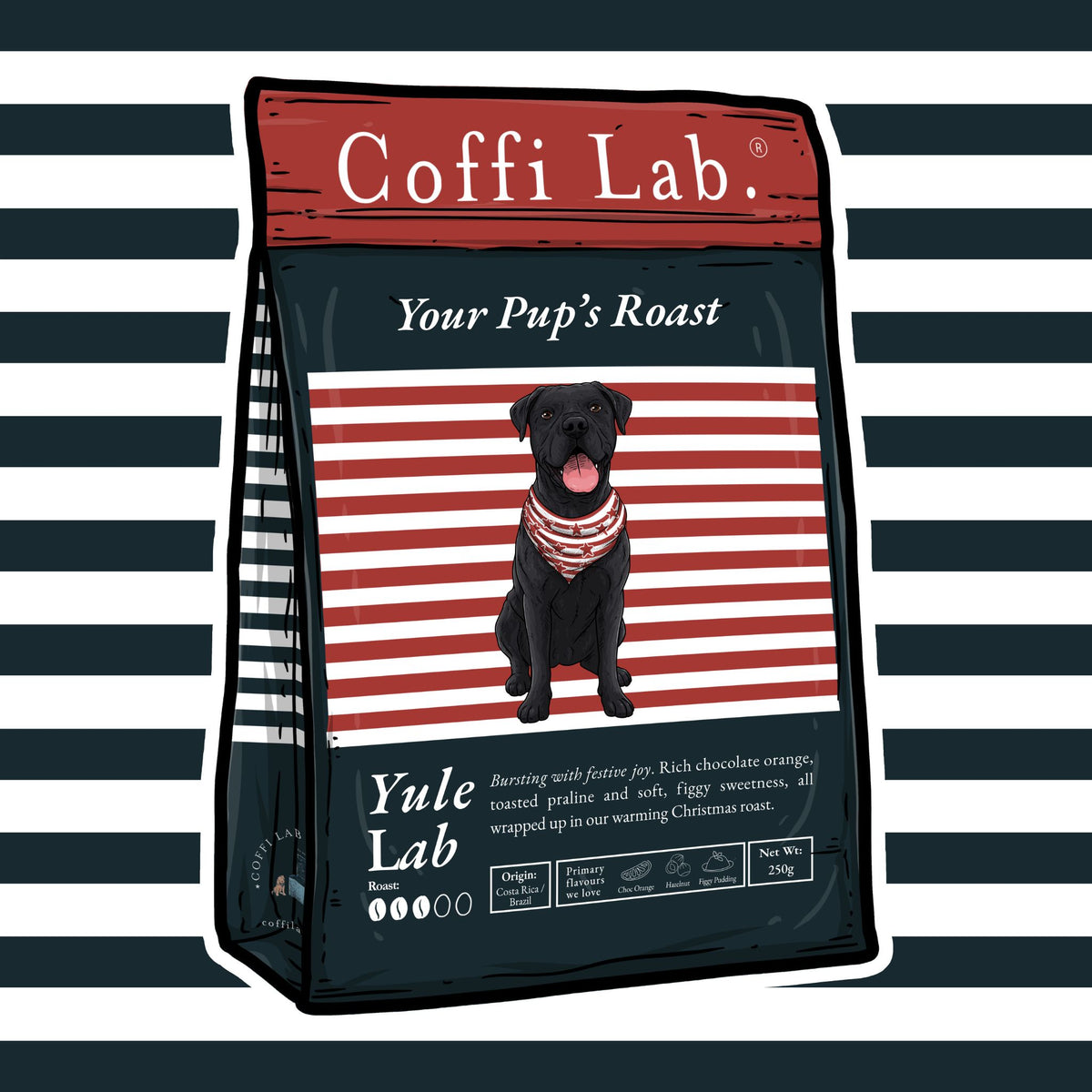 Yule Lab
