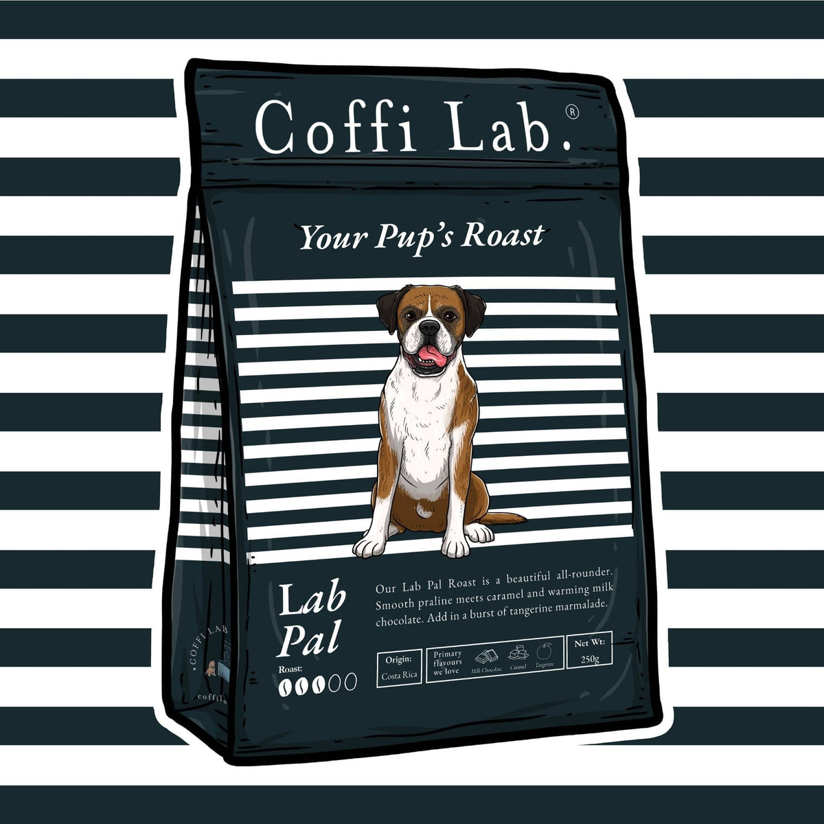 Lab Pal