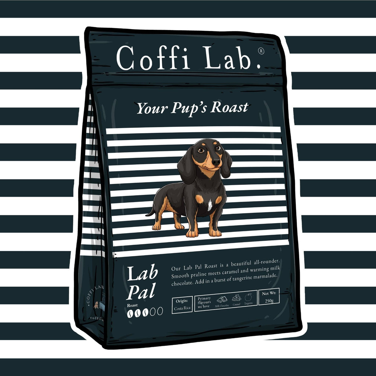 Lab Pal
