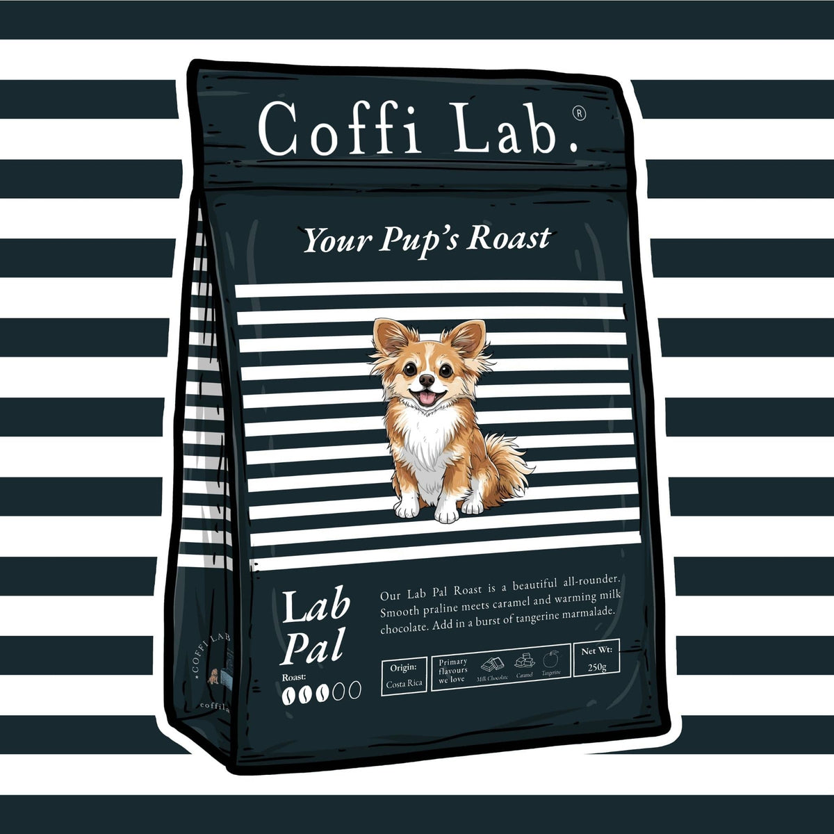 Lab Pal