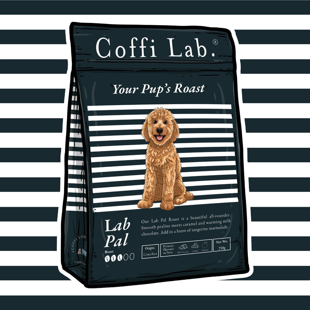 Lab Pal