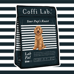 Lab Pal