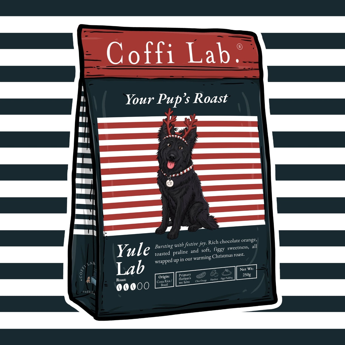 Yule Lab