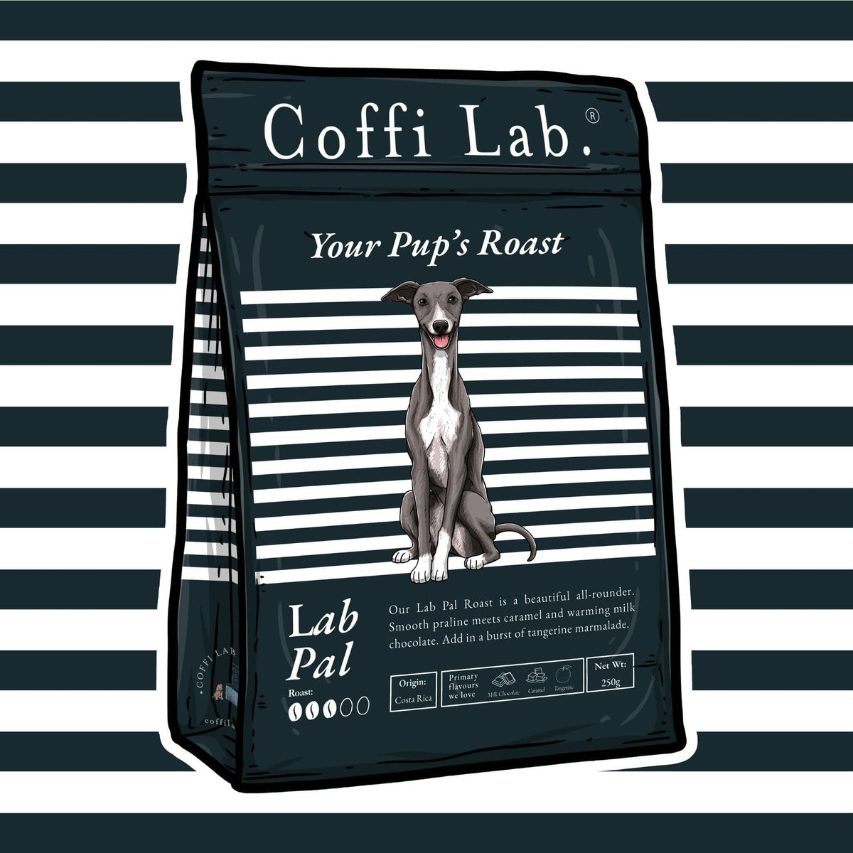 Lab Pal