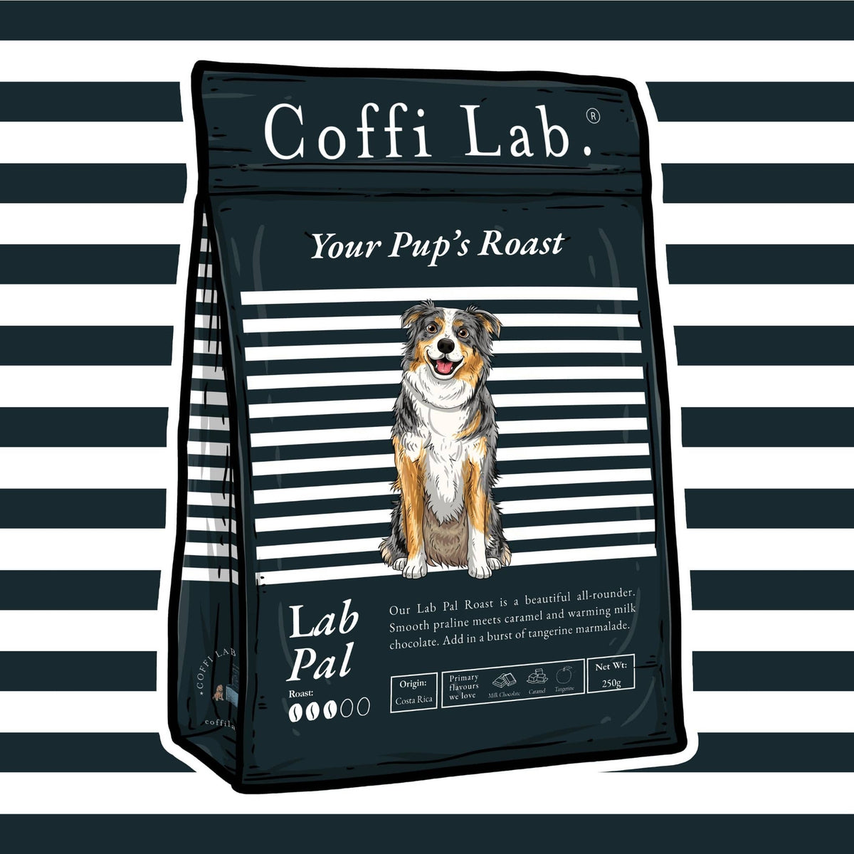 Lab Pal