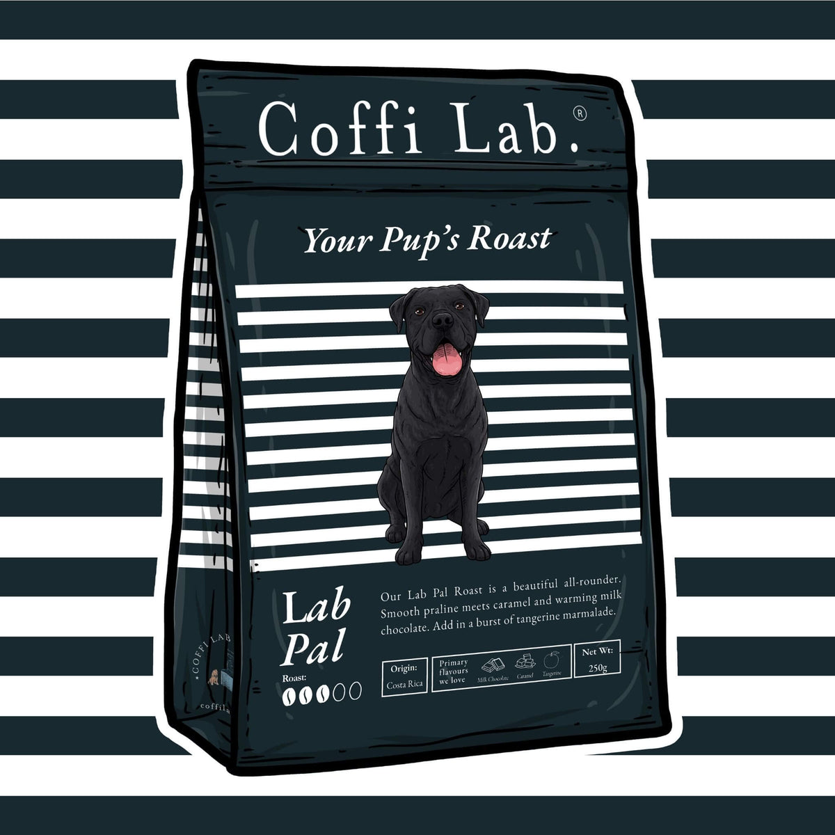 Lab Pal