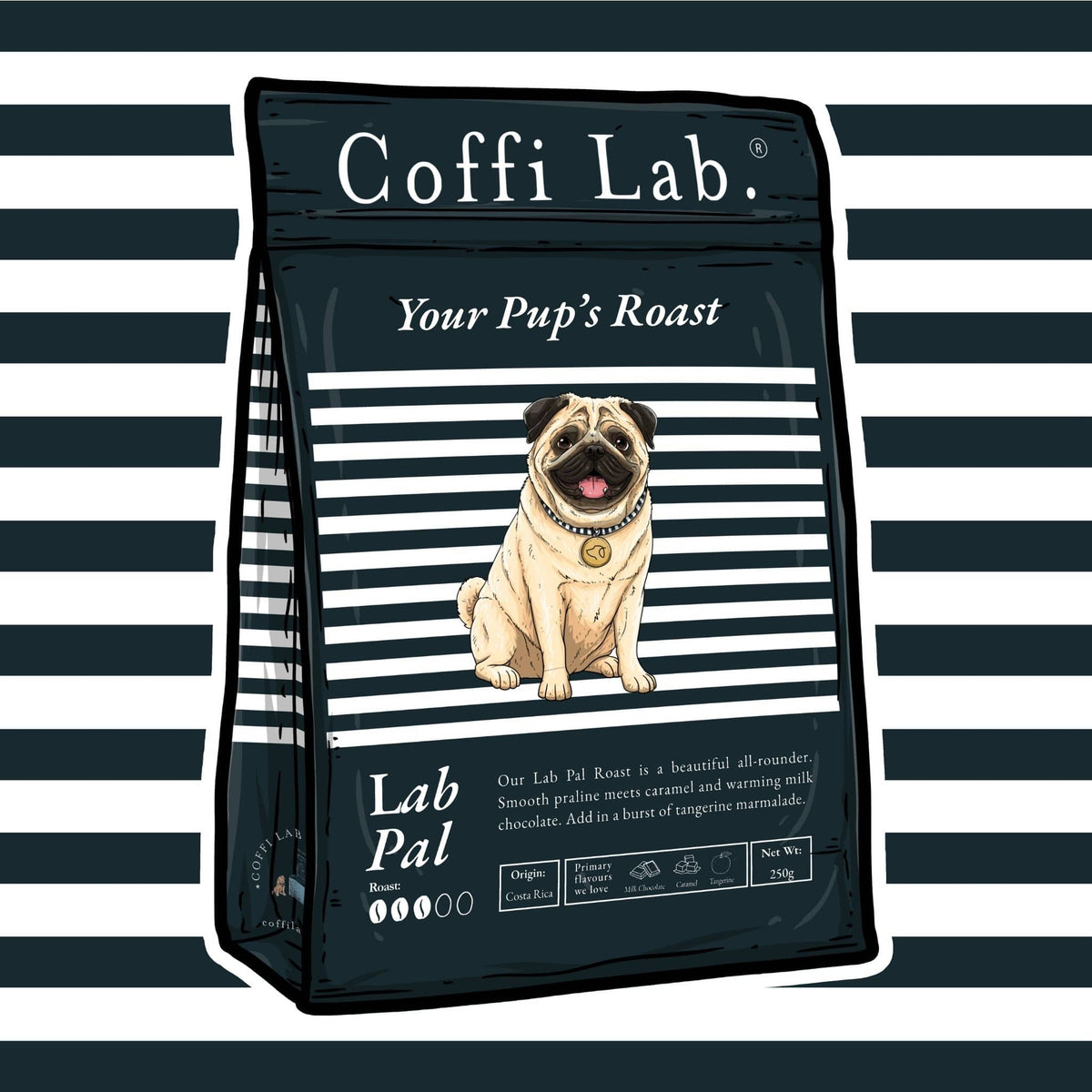 Lab Pal