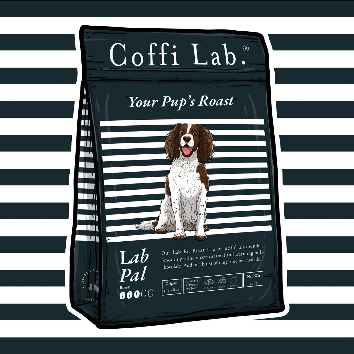 Lab Pal