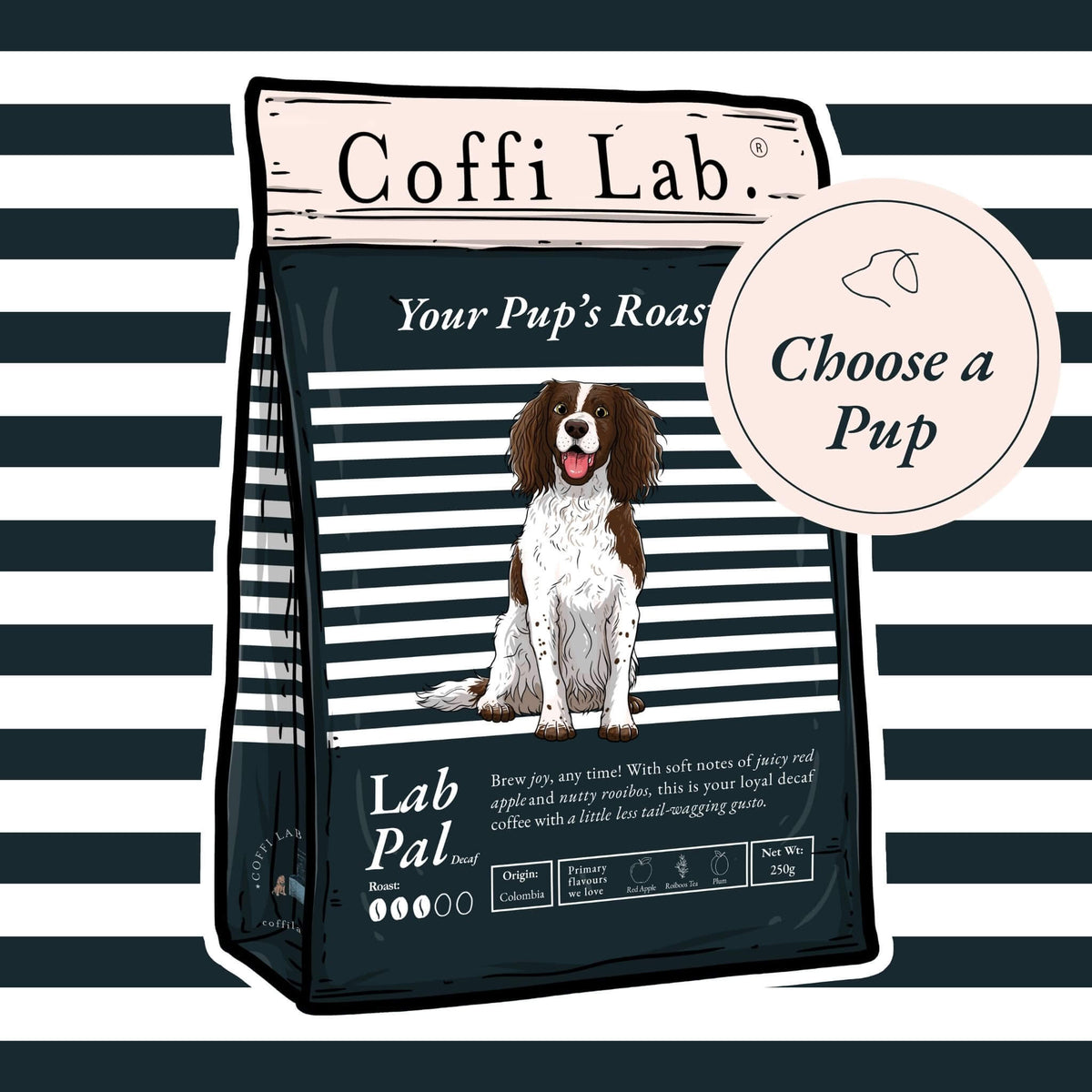 Lab Pal (Decaf)