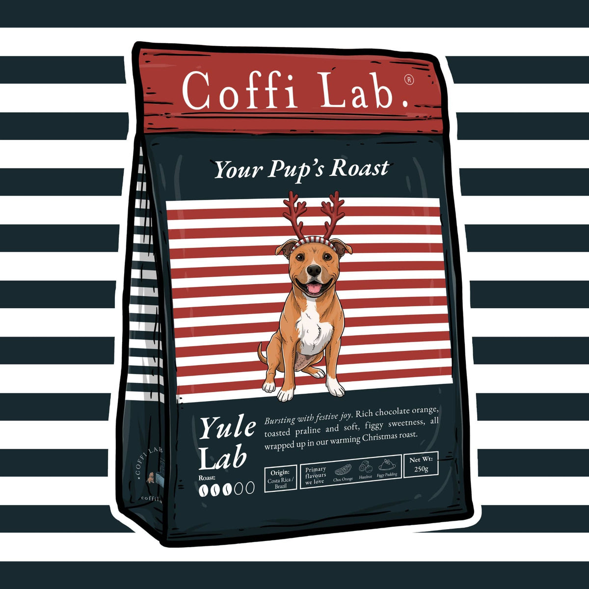 Yule Lab