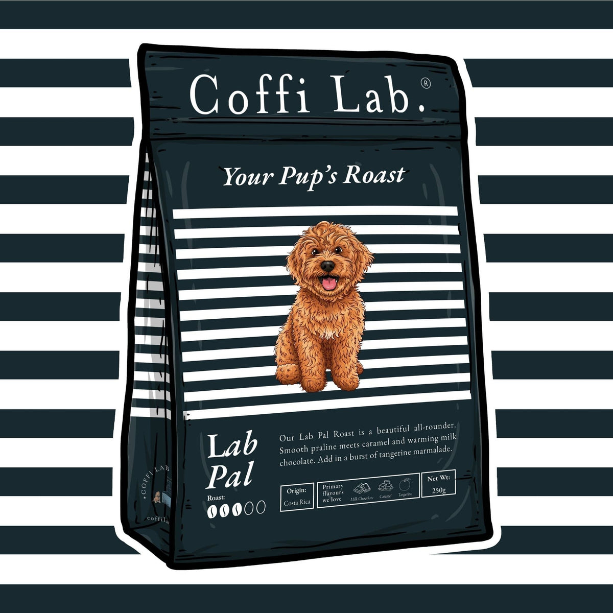 Lab Pal