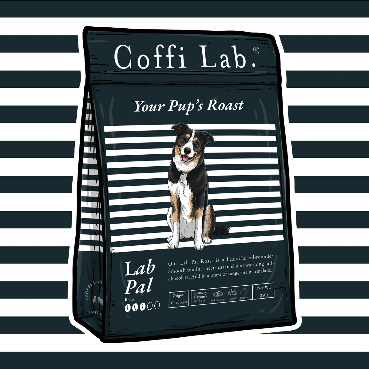 Lab Pal