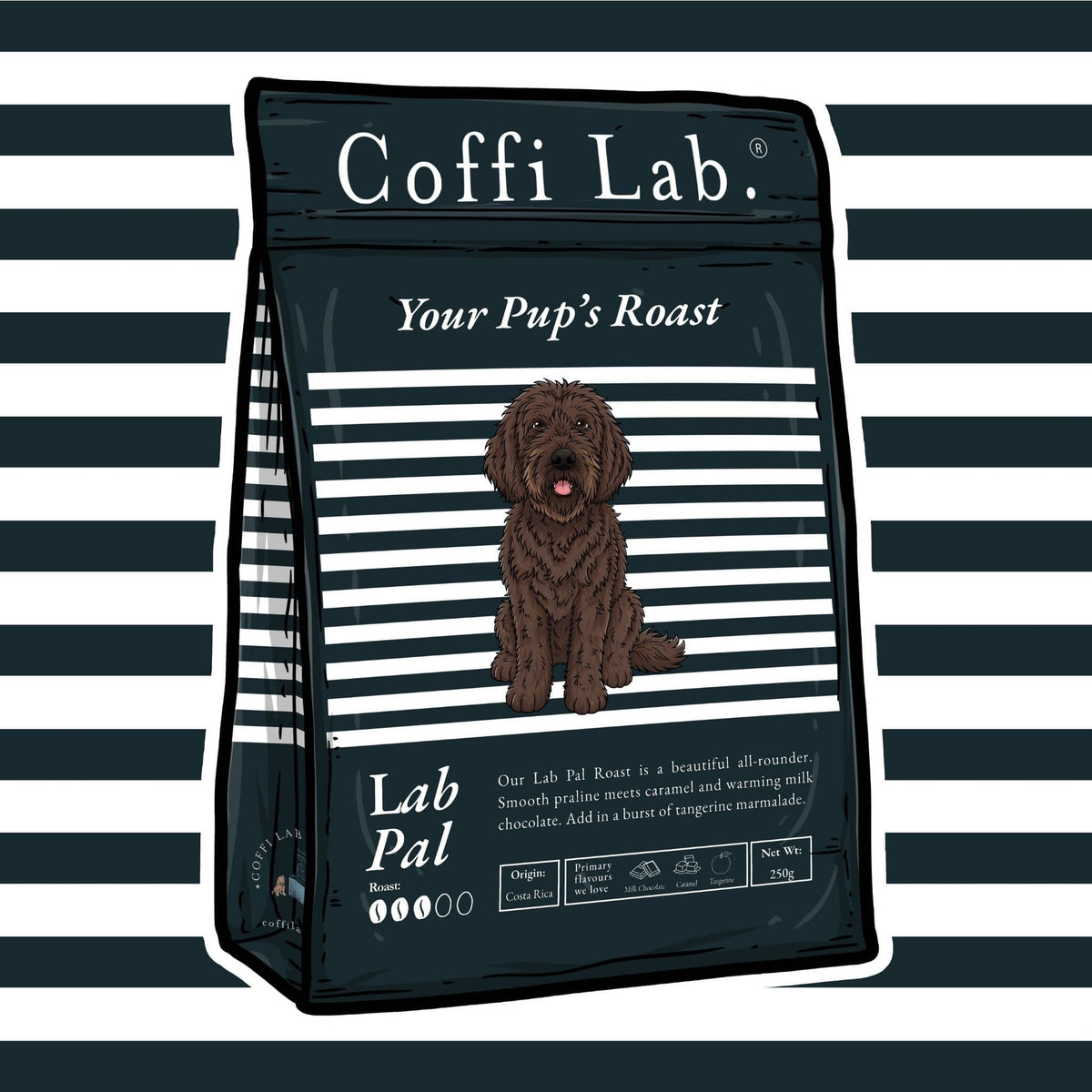Lab Pal
