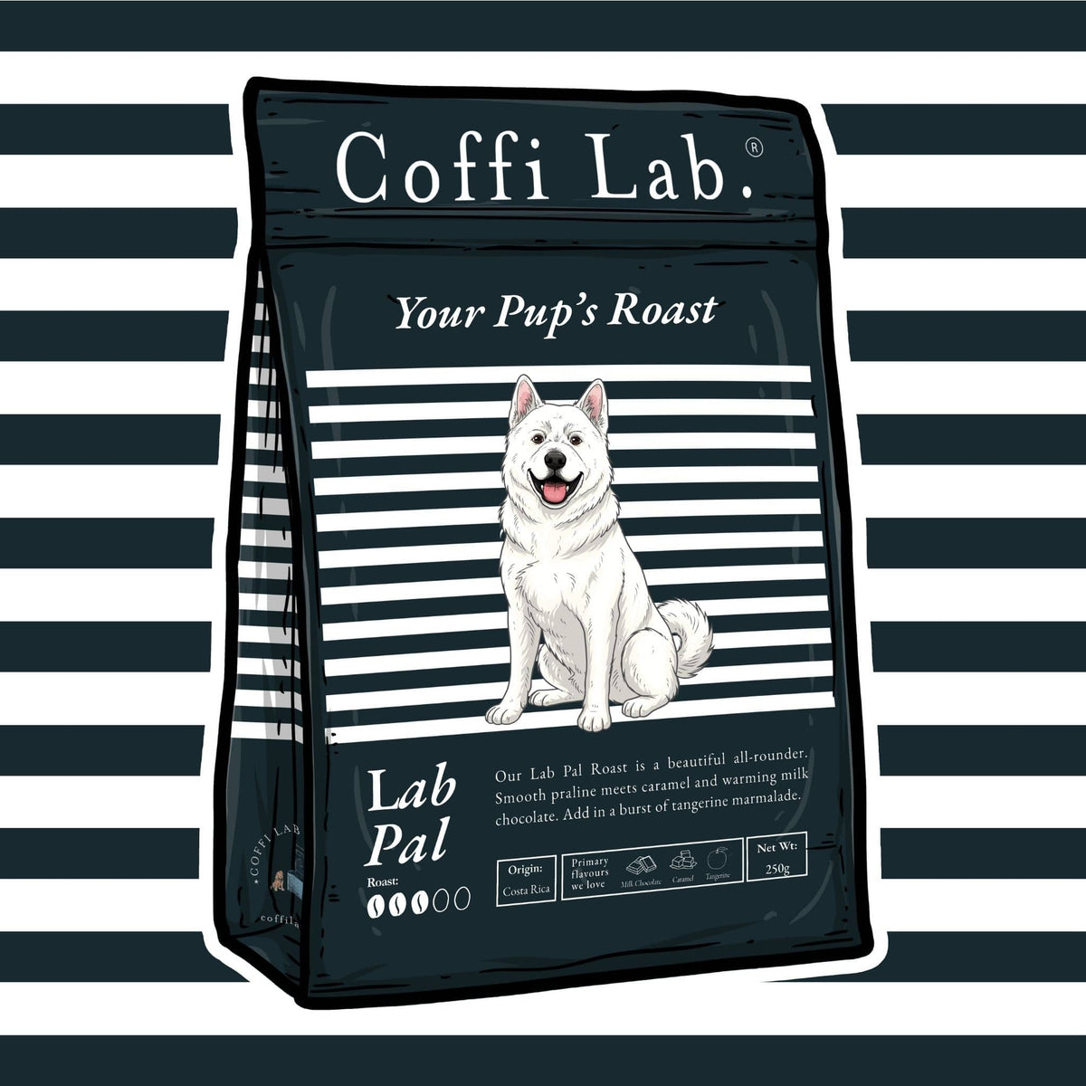 Lab Pal