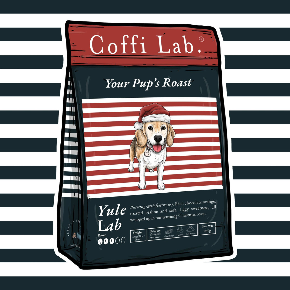 Yule Lab