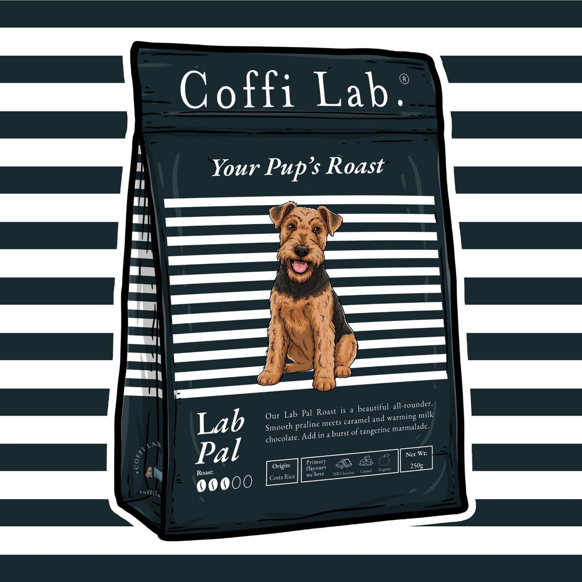 Lab Pal