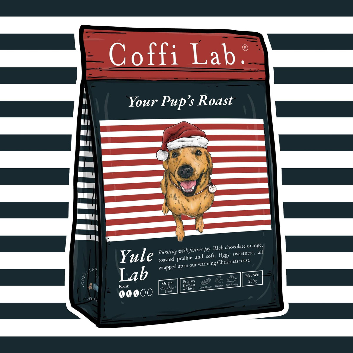 Yule Lab