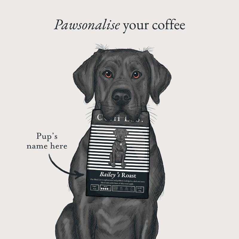 Black Lab - Subscription