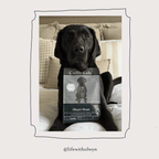 Black Lab - Subscription