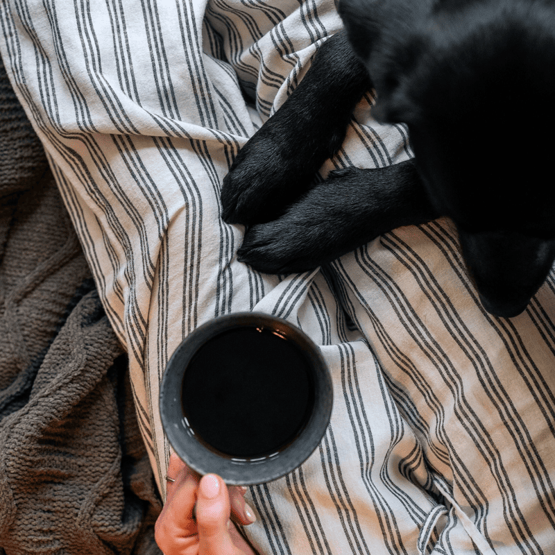 Black Lab - Subscription