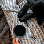 Black Lab