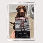 Choc Lab