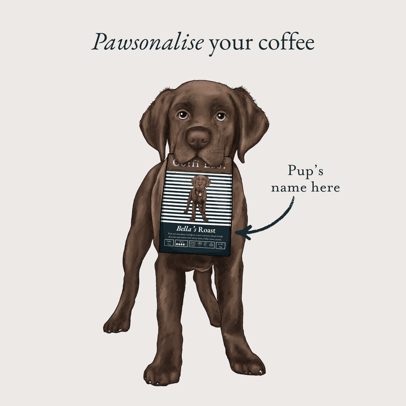 Choc Lab