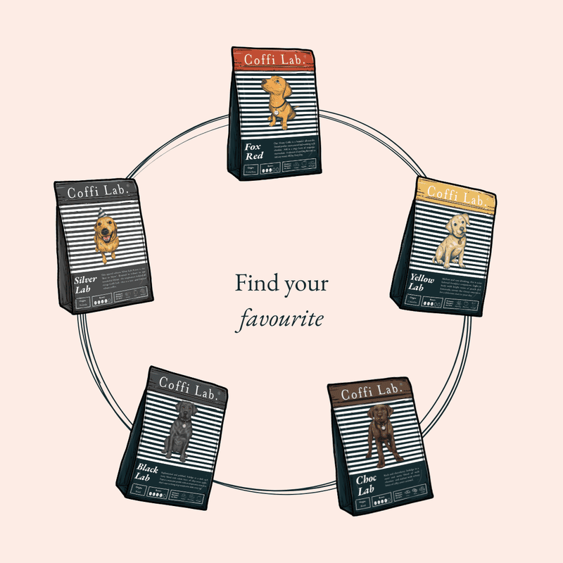 Coffi Companion - Subscription
