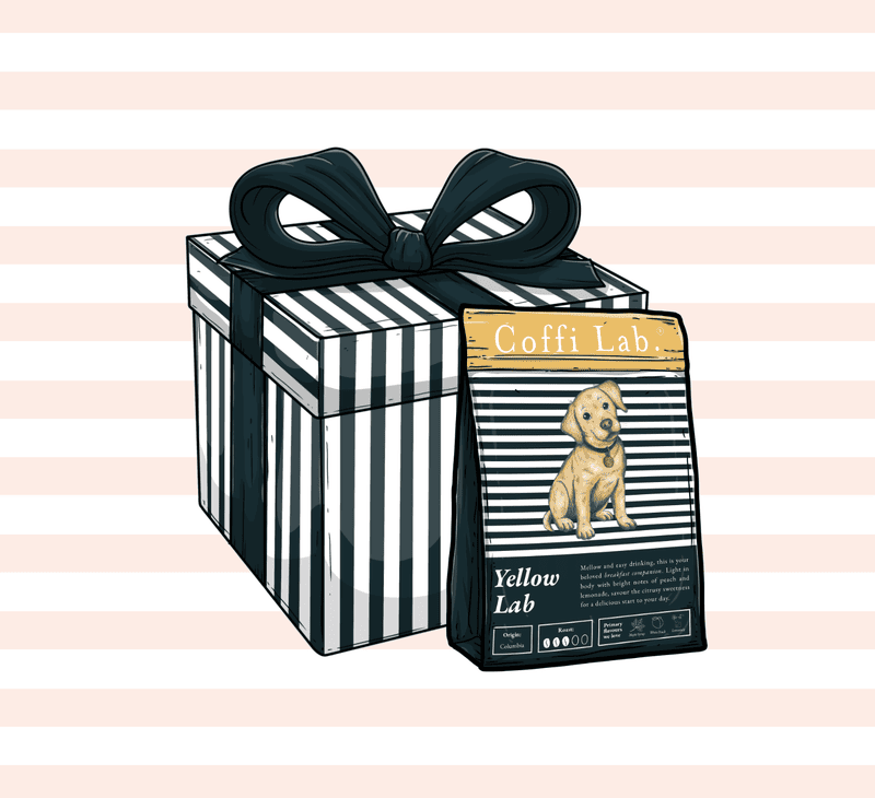 Gift Subscription