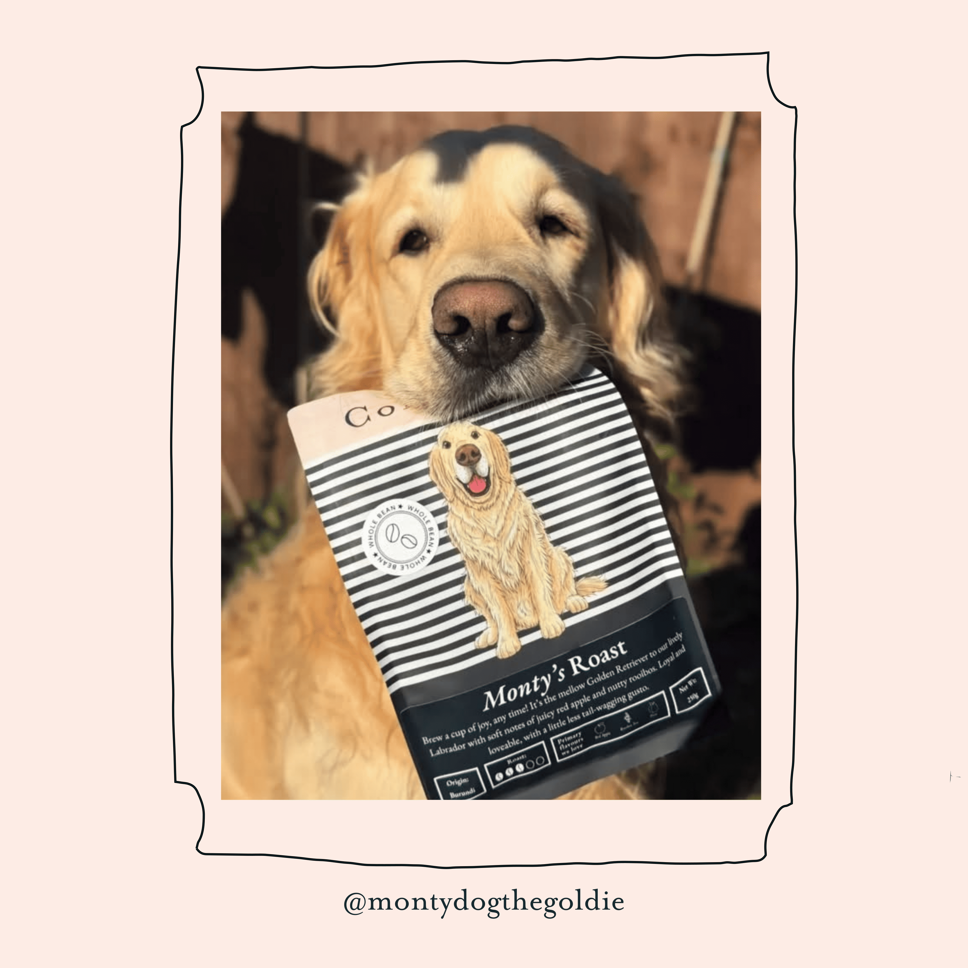 Golden Decaf - Subscription