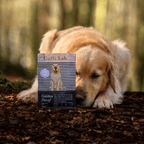 Golden Decaf - Subscription
