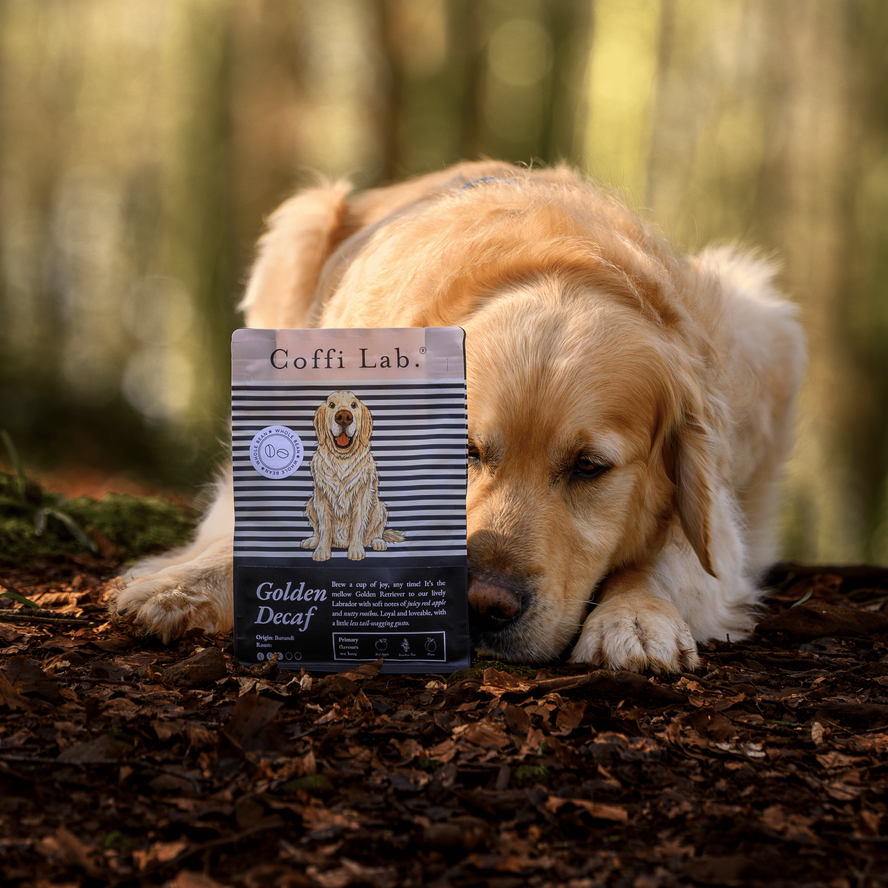Golden Decaf - Subscription