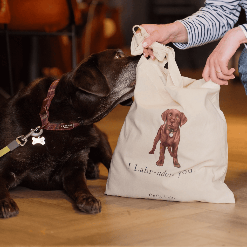 "I Labradore you" Tote - Choc