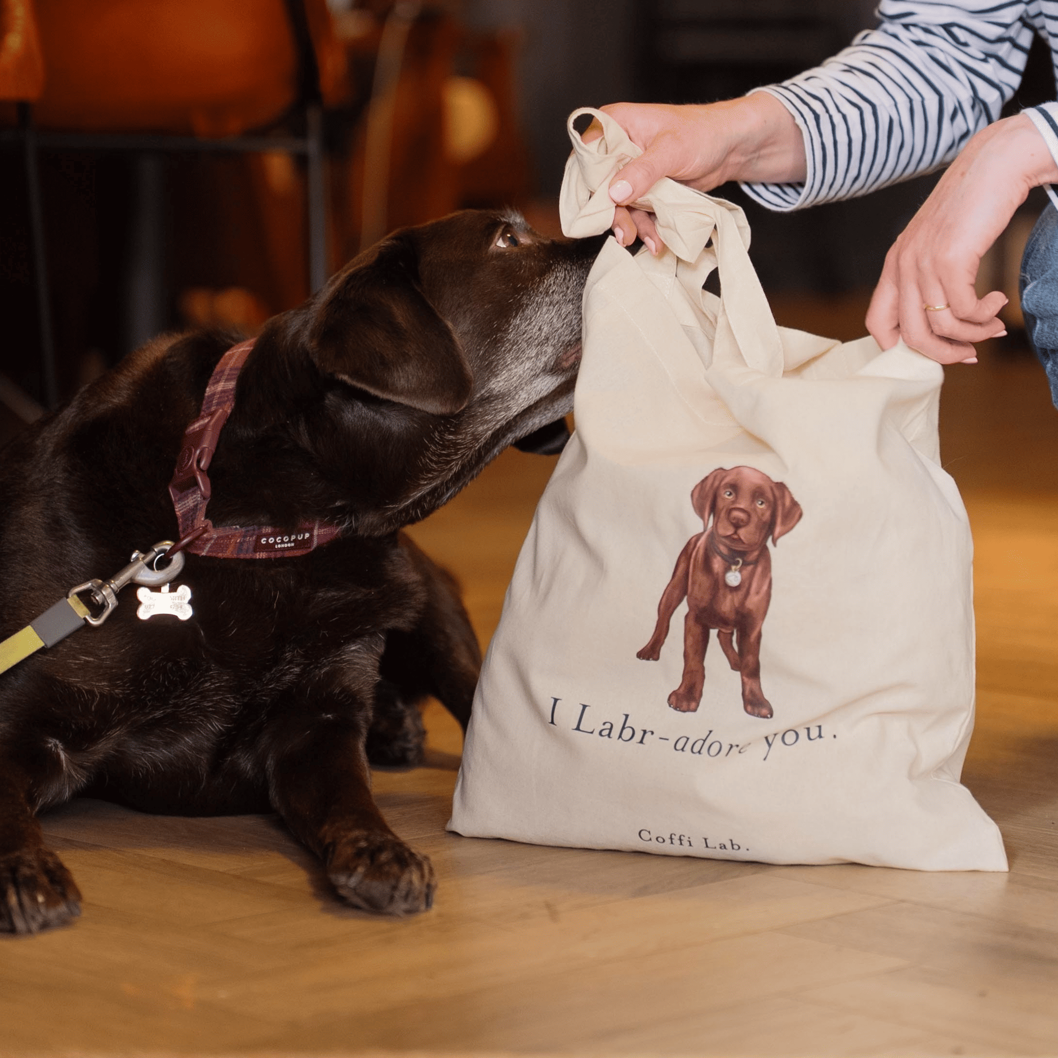 "I Labradore you" Tote - Choc