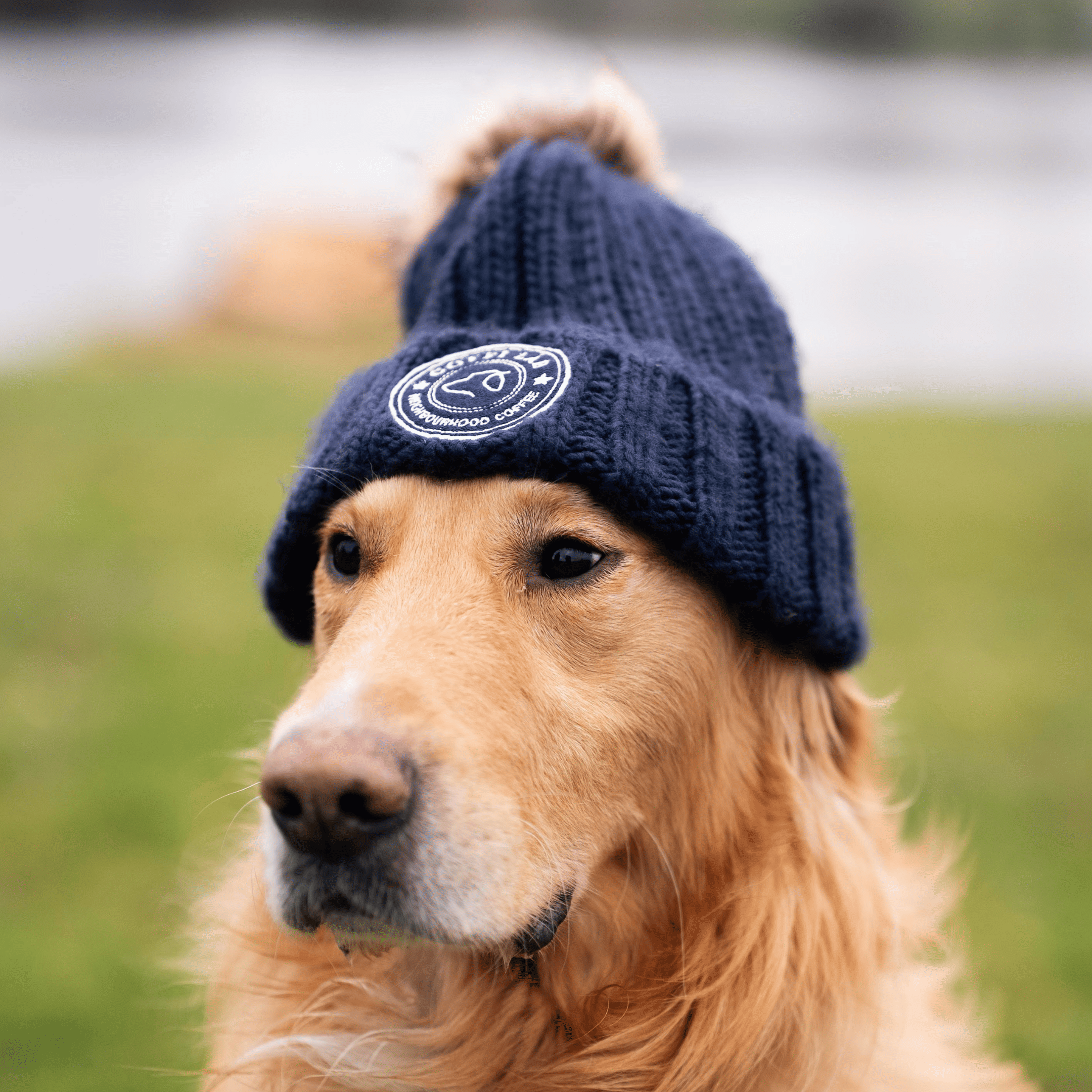 Lab Bobble Hat