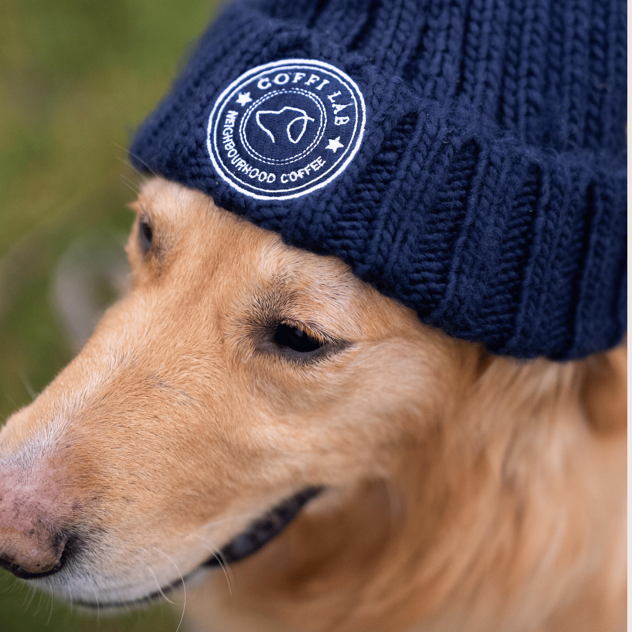Lab Bobble Hat