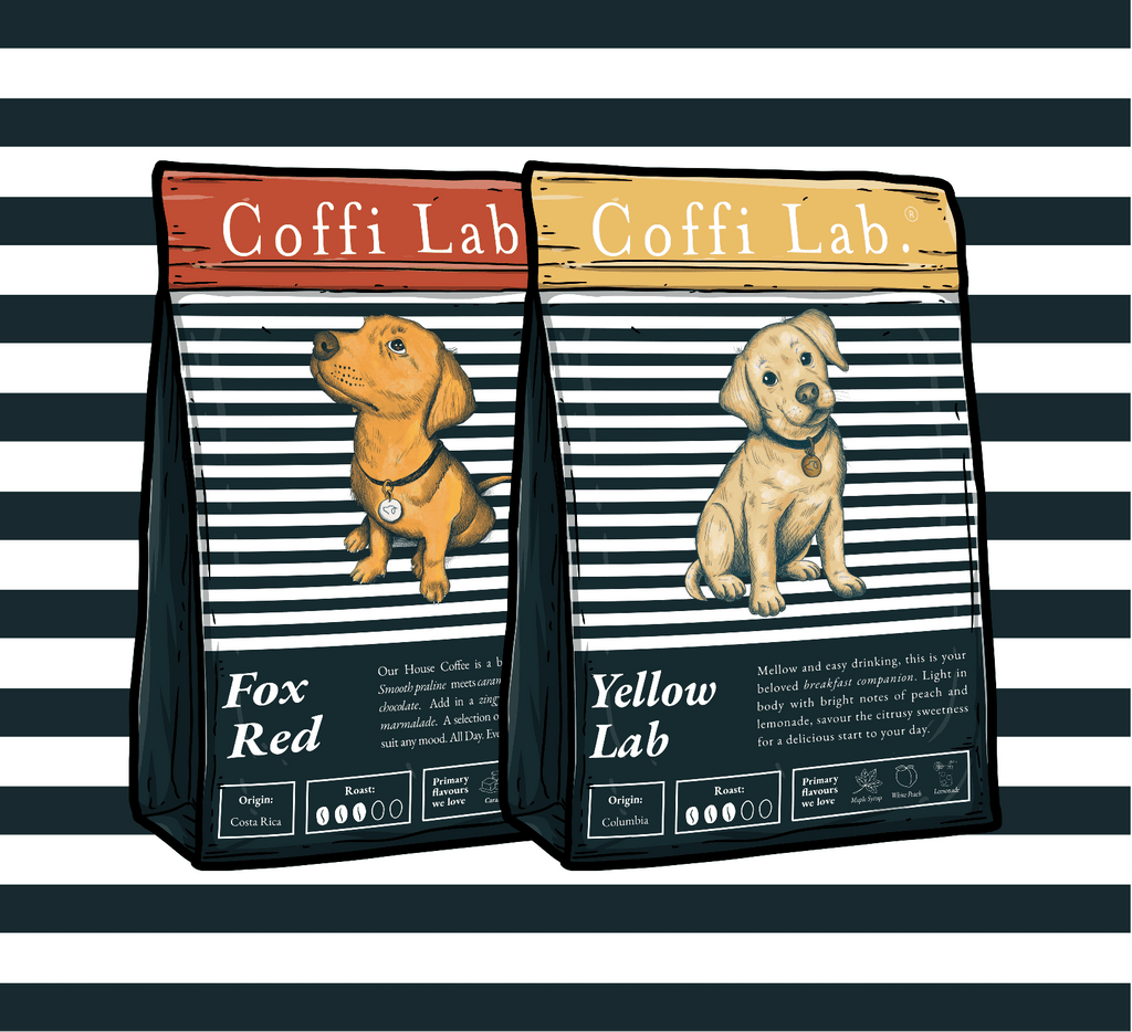Lab Duo: Light-Medium