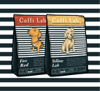 Lab Duo: Light-Medium